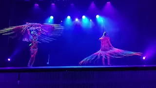 Dyemotion Dance Theatre celebrated its 15th anniversary