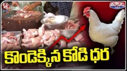 Chicken Prices Rise As Temperature Soars In Telangana | V6 Teenmaar News
