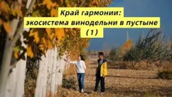 Край гармонии: экосистема винодельни в пустыне 1