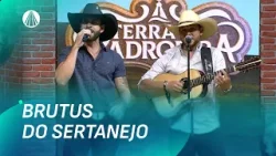 Clássicos sertanejos ganham vida com Brutus do Sertanejo | Terra da Padroeira