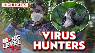 Virus Hunters, pinag-aaralan ang mga paniki para maiwasan ang future pandemic | Ibang Level 'To