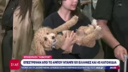 Επιχείρηση «Κιβωτός»: Επέστρεψαν από το Άμπου Ντάμπι 101 Έλληνες με τα 45 κατοικίδιά τους