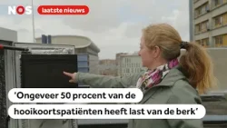 Hooikoortspatiënten opgepast: er komt een zwaar seizoen aan