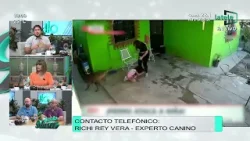 Prevención y manejo de incidentes con perros, nos habla el experto canino Richi Rey Vera