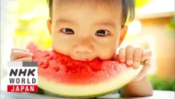 An Evolutionary Sense of Taste - Science View