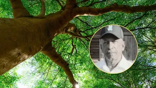 Man dies after falling from a limoncillo tree in El Seibo
