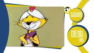 Disfruta de Don Gato y su Pandilla, un clásico animado para toda la familia