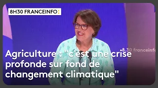 Agriculture, incendies, budget... Le "8h30 franceinfo" d'Annie Genevard