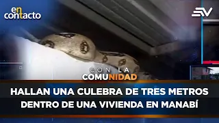 Hallan una culebra de tres metros dentro de una vivienda en Manabí | En Contacto | Ecuavisa