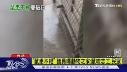 動物之家鼠亂竄.「咬志工」 議員:恐成漢他破口｜TVBS新聞 @TVBSNEWS01