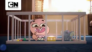 HOW EVERYTHING CHANGED AT HOME WITH THE ARRIVAL OF ANAIS | THE AMAZING WORLD OF GUMBALL | CARTOON...