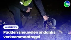 GLD Nieuws 13 maart 2026 GLD Nieuws 13 maart 2026