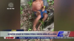 Pitbull attack on minors reported in La Ceiba