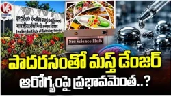 Mercury Exposure and Health Effects: International Seminar On Mercury as a Global Pollutant | V6