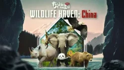 Wildlife Haven China_中国野生动物家园