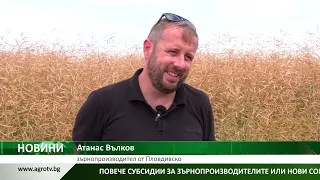 ЗЪРНОПРОИЗВОДИТЕЛИ: Евромерките срещу родния добив