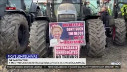 Híradó 19 óra (2026-01-24) - HírTV