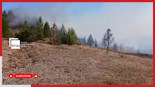 Zjarri i madh në Kalivac të Lezhës rrezikon shtëpitë, flakët përhapen me shpejtësi