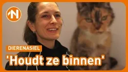 Huisdieren in de sneeuw: ‘Houd je oude huisdieren binnen’