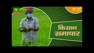 Kisan Samachar: Latest News of Agriculture | DD Kisan | 16/08/2026