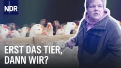 Von Vogelgrippe bis Schweinepest: Gefahr aus dem Stall? | Doku | NDR Story