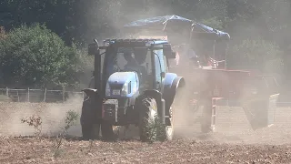 A burgonyának sem tett jót a szárazság