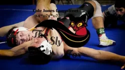 The Sly Fox The Sly Fox