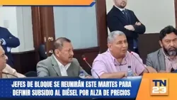 Jefes de bloque se reunirán este martes para definir subsidio al diésel por alza de precios
