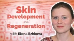 Skin Development and Regeneration in Homeostasis and Disease with Elena Ezhkova