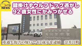 鍵掛けずウルフドッグ逃がし 92歳女性にかみつかせ重傷負わせた重過失傷害の疑い　67歳女逮捕　奈井江町