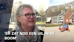 Bouw nieuwe school in Woltersum van start: “Er zat nog een uil in de boom die rust nodig had”