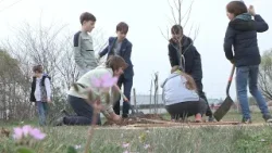 Hogy zöldebb legyen Gyenesdiás