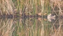 Een zonnige zaterdagochtend (Natuurlijk! 29-12-2025)