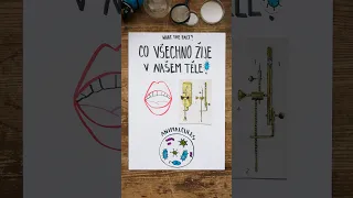 Jaké organismy sídlí v naší tělesné schránce? 🦠