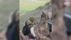 Flowering desert threatened following social media popularity