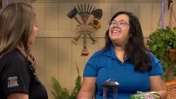 Extension Solutions | Backyard Habitat | Different Types of Bird Feeders