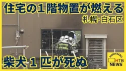 柴犬死ぬ　ブリーダーの住宅で火事　1階には車庫や複数の犬小屋　札幌・白石区