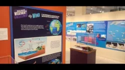 Музей Невилла, оставшийся без директора на протяжении шести месяцев, сталкивается с вопросами и з...