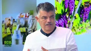 🔴دور العامل الجيني في تربية الأبقار وإنتاج الأراخي!.. ماذا في التفاصيل؟
