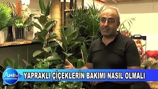 YAPRAKLI ÇİÇEKLERİN BAKIMI NASIL OLMALI