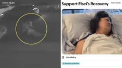 Bay Area woman slammed to ground by neighbor, causing her severe brain trauma