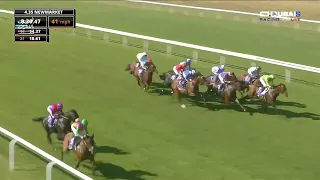 Comanche Brave🏇 يفوز بشوط "Dubai July Cup Stakes"✨ ضمن مهرجان جولاي كب على مضمار نيوماركت