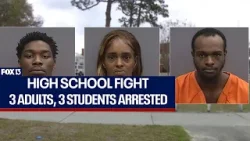 Chamberlain High School fight: 3 adults, 3 students arrested