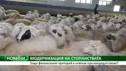 МОДЕРНИЗАЦИЯ НА СТОПАНСТВАТА: Защо финансовият критерий е ключов при кандидатстване?