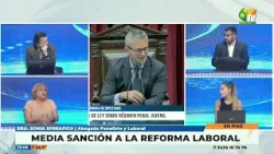 N6 - Sonia Spreafico - El Senado dio media sanción a la reforma laboral