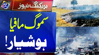 Smog Mafia Hoshiyar | 3 October 2026 | Lahore Rang