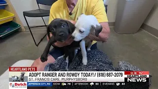 Heartland Pets: Ranger and Rowdy at St. Francis Care in Murphysboro