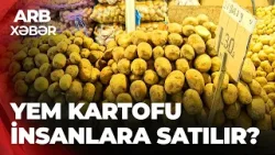 ARB XƏBƏR – Təhlükəli məhsul – Yem kartofu satışdadır?