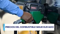 Precios de combustible sigue elevado