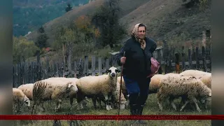 Fotografija koja priča priču – savjeti za najbolji RuralFoto 2026.